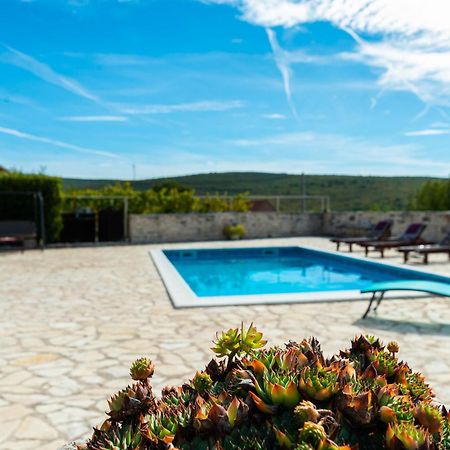 Dalmatian Country House Irena Bruska Exterior photo